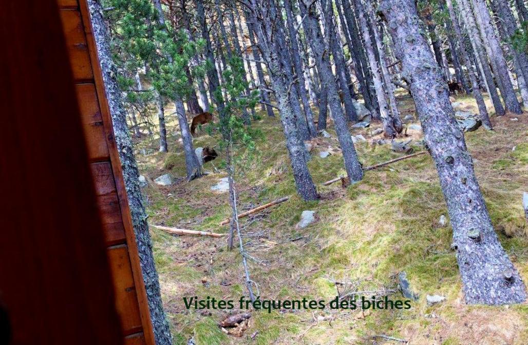 Chalet Vue Sous Cet Angles מראה חיצוני תמונה